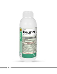 ACS Hapless SC的圖片