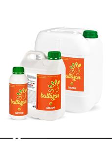 Baltazar 3-15-0+(45SO3)的圖片