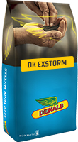 DK Exstorm