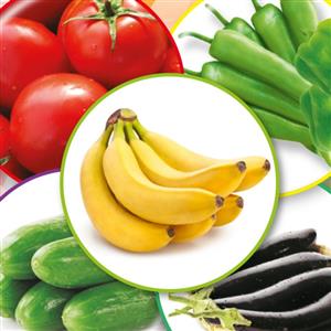 QL Agri 35 SL的圖片